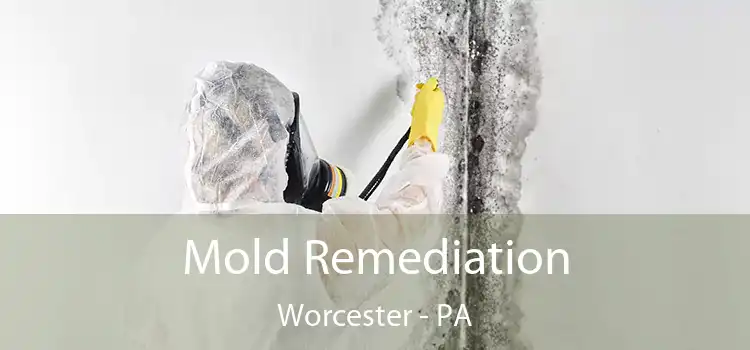 Mold Remediation Worcester - PA