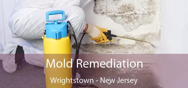 Mold Remediation Wrightstown - New Jersey