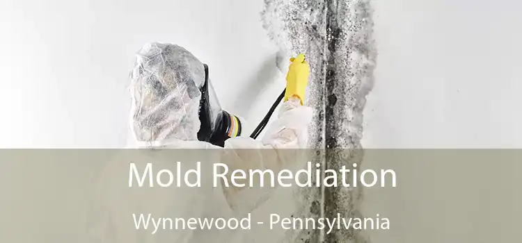 Mold Remediation Wynnewood - Pennsylvania