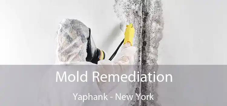 Mold Remediation Yaphank - New York