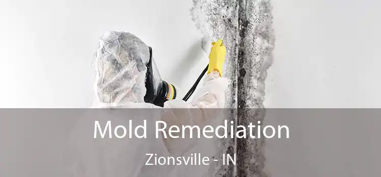 Mold Remediation Zionsville - IN