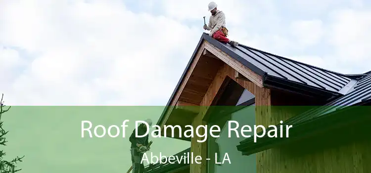 Roof Damage Repair Abbeville - LA