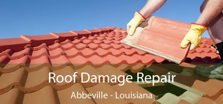 Roof Damage Repair Abbeville - Louisiana