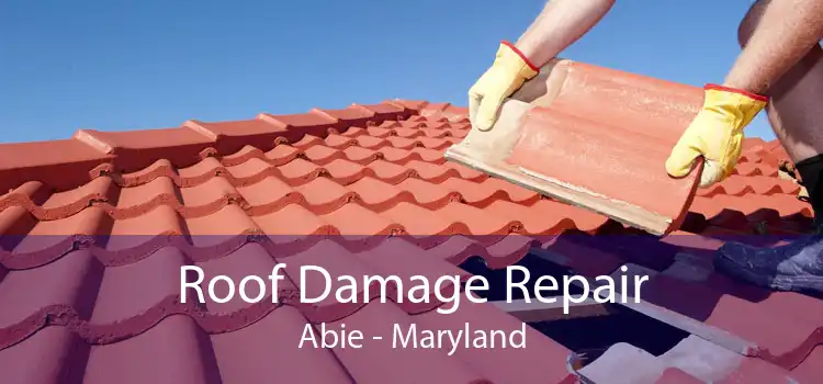 Roof Damage Repair Abie - Maryland