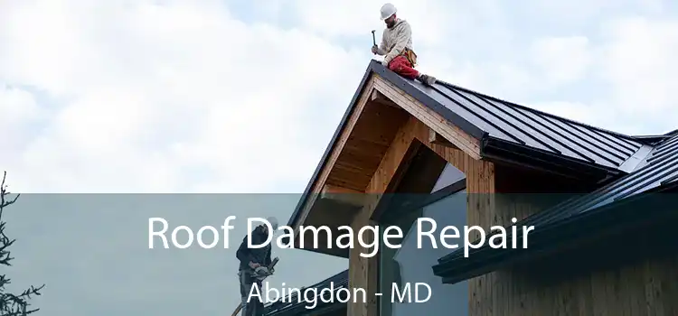 Roof Damage Repair Abingdon - MD