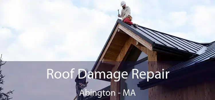 Roof Damage Repair Abington - MA