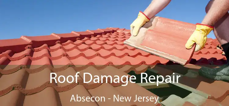 Roof Damage Repair Absecon - New Jersey