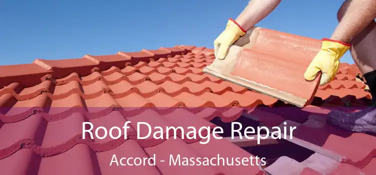 Roof Damage Repair Accord - Massachusetts