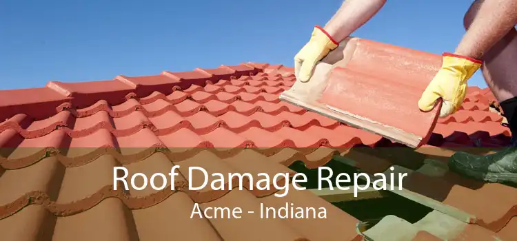 Roof Damage Repair Acme - Indiana