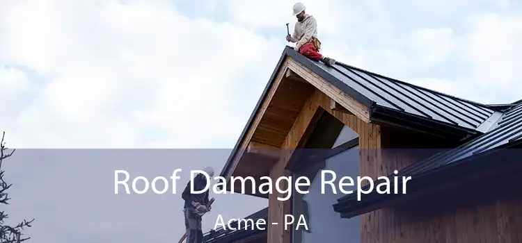 Roof Damage Repair Acme - PA