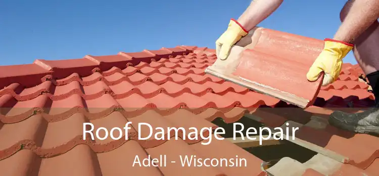 Roof Damage Repair Adell - Wisconsin