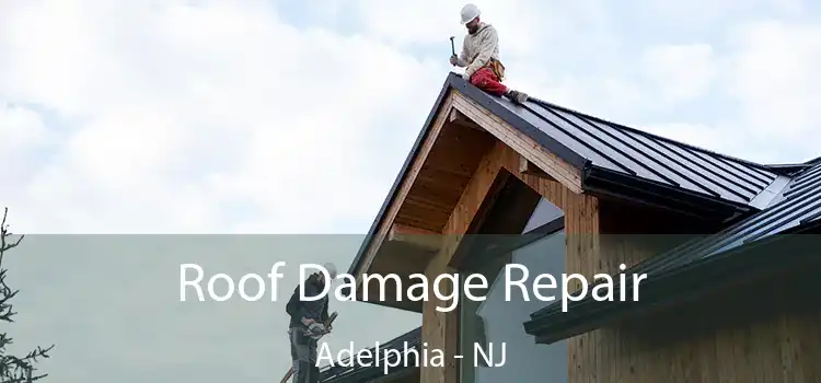 Roof Damage Repair Adelphia - NJ