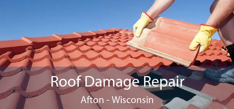 Roof Damage Repair Afton - Wisconsin