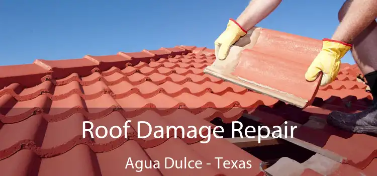 Roof Damage Repair Agua Dulce - Texas