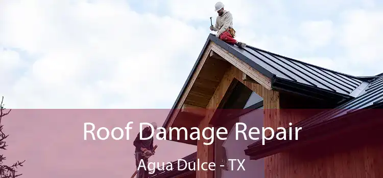 Roof Damage Repair Agua Dulce - TX