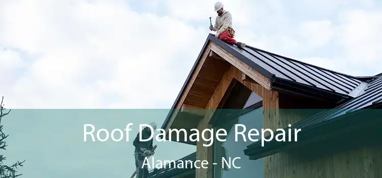 Roof Damage Repair Alamance - NC