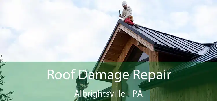 Roof Damage Repair Albrightsville - PA