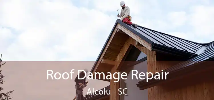 Roof Damage Repair Alcolu - SC