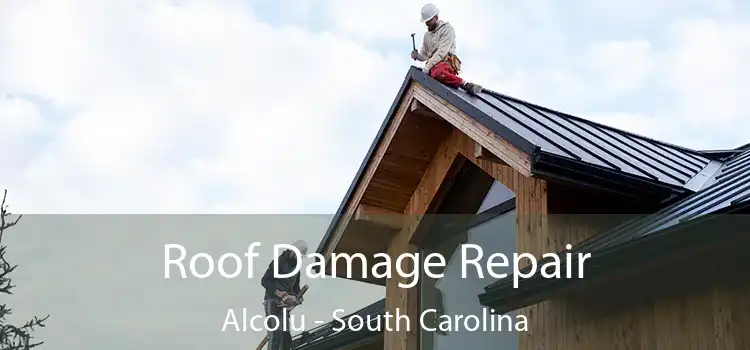 Roof Damage Repair Alcolu - South Carolina