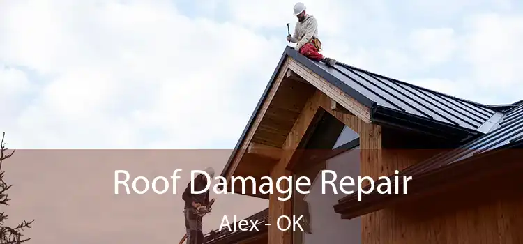 Roof Damage Repair Alex - OK