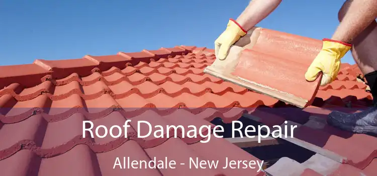 Roof Damage Repair Allendale - New Jersey