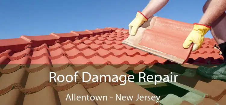 Roof Damage Repair Allentown - New Jersey