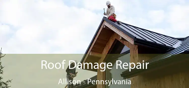 Roof Damage Repair Allison - Pennsylvania