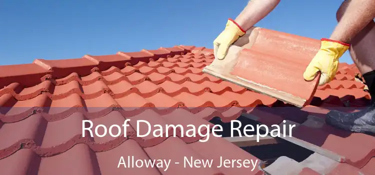 Roof Damage Repair Alloway - New Jersey