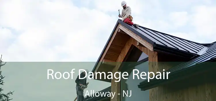 Roof Damage Repair Alloway - NJ