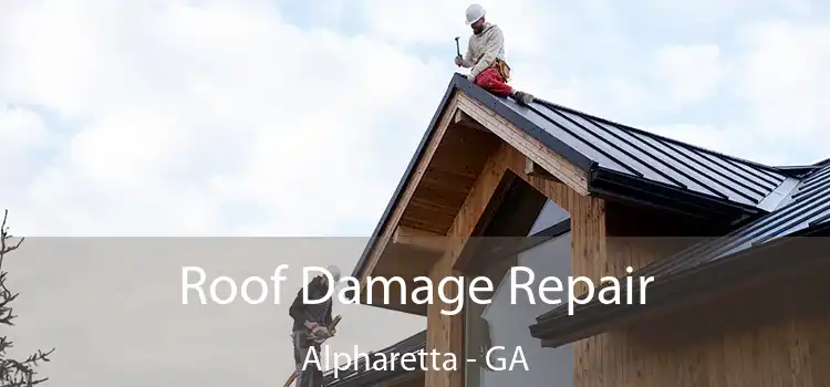 Roof Damage Repair Alpharetta - GA