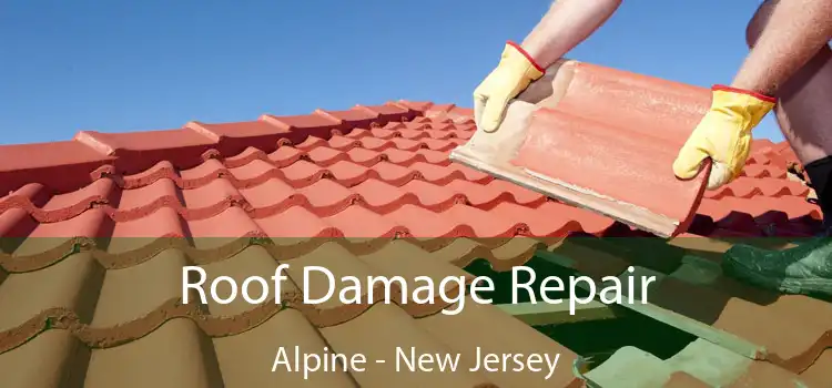 Roof Damage Repair Alpine - New Jersey