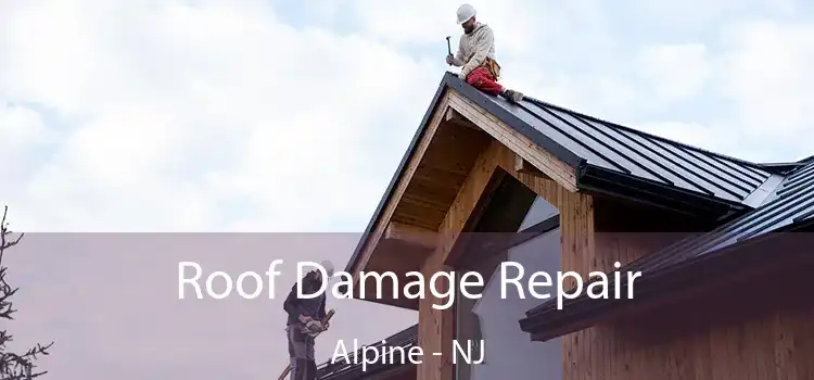 Roof Damage Repair Alpine - NJ