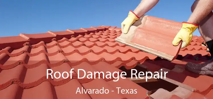 Roof Damage Repair Alvarado - Texas