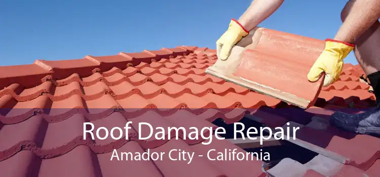 Roof Damage Repair Amador City - California