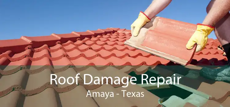 Roof Damage Repair Amaya - Texas