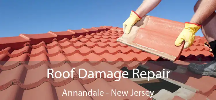 Roof Damage Repair Annandale - New Jersey