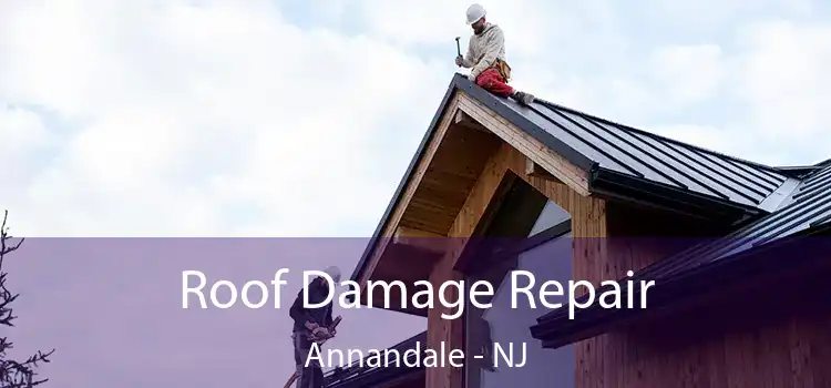 Roof Damage Repair Annandale - NJ