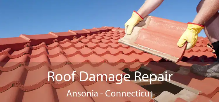 Roof Damage Repair Ansonia - Connecticut