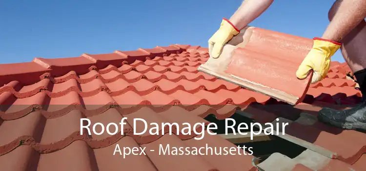 Roof Damage Repair Apex - Massachusetts
