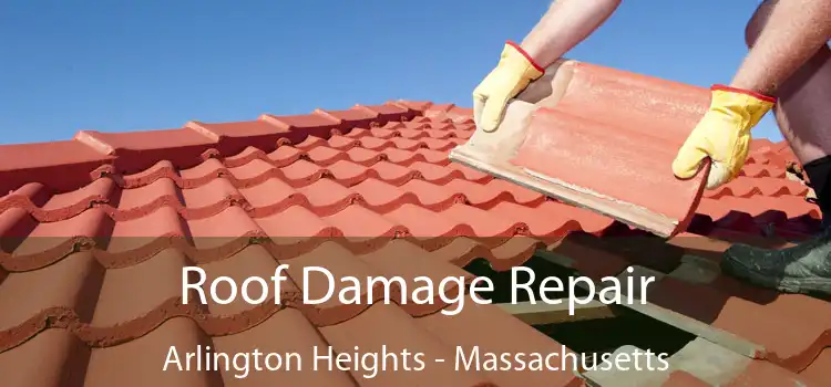 Roof Damage Repair Arlington Heights - Massachusetts