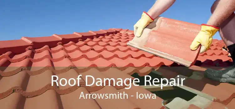 Roof Damage Repair Arrowsmith - Iowa