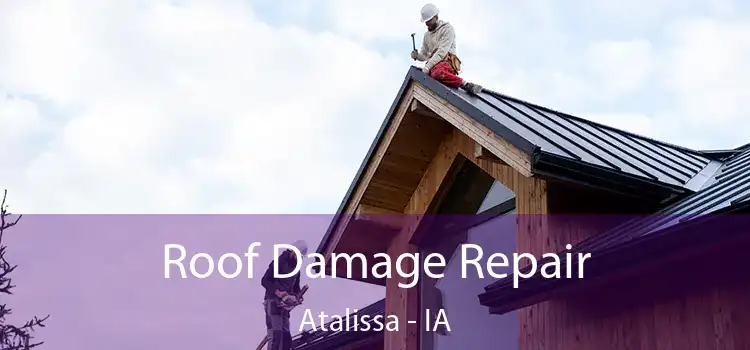 Roof Damage Repair Atalissa - IA