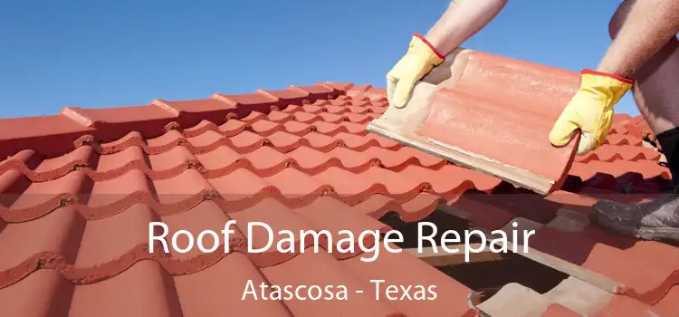 Roof Damage Repair Atascosa - Texas