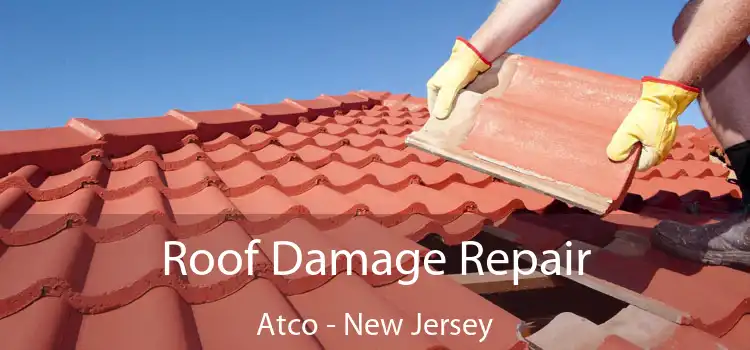 Roof Damage Repair Atco - New Jersey