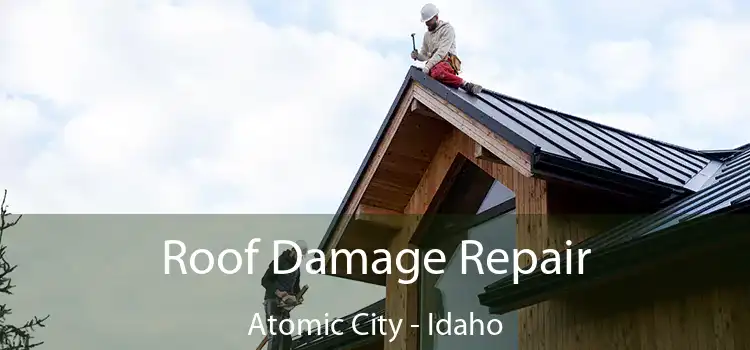 Roof Damage Repair Atomic City - Idaho