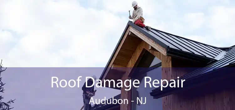 Roof Damage Repair Audubon - NJ