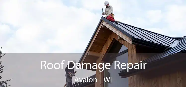 Roof Damage Repair Avalon - WI