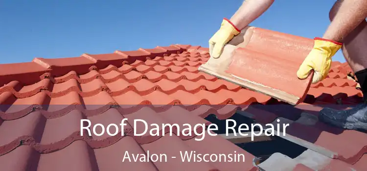 Roof Damage Repair Avalon - Wisconsin