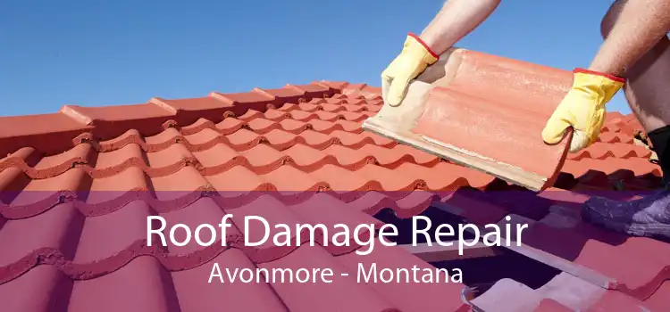 Roof Damage Repair Avonmore - Montana