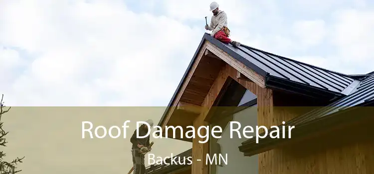 Roof Damage Repair Backus - MN